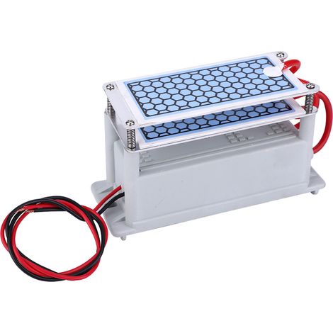 Générateur d'ozone intégré pour la maison, purificateur d'air et désodorisant, 10 g AC 220 V (1/5)
