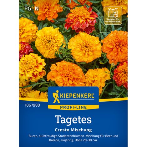Kiepenkerl Profi-Line Blumensamen Tagetes Cresto Mischung für ca. 60 Pflanzen