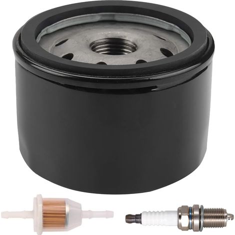 696854 Oil Filter For Briggs (1/5)