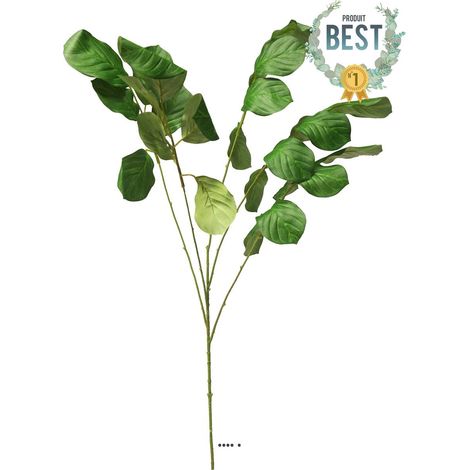 Branche de feuilles de Maranta leucineura artificielle, H118 cm - BEST (1/4)