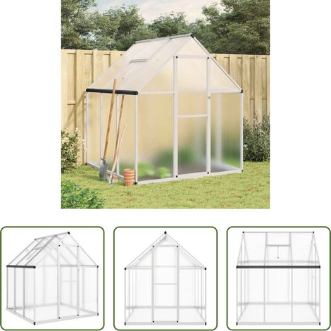 vidaXL Fundamentrahmen - Gewächshaus mit Fundamentrahmen Silbern 169x169x195 cm Alu (1/5)