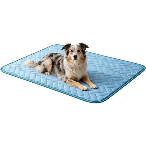 70 x 50 cm große Kühlmatte aus Eisseide für Hunde, faltbar, für drinnen und draußen geeignet, Garten, Balkon, Wohnzimmer, Schlafzimmer (1/5)