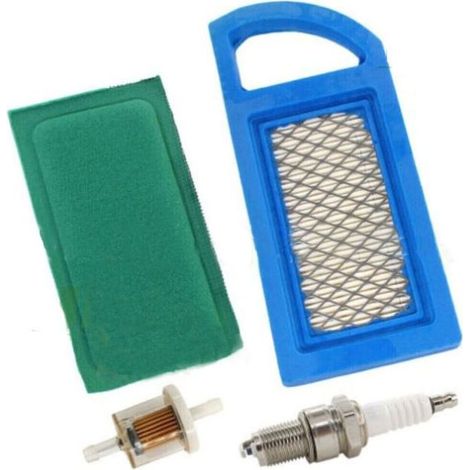 Filtro de aire 794421 697152 613022 650821 697775 - Prefiltro 697292 - Bujía - Para motores Briggs & Stratton (1/3)