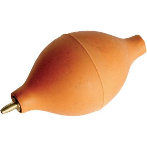 Soufflette de Nettoyage