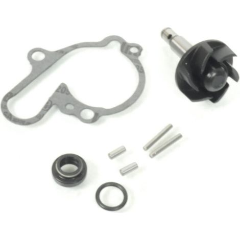 wasserpumpe rms motorrad für auto neu