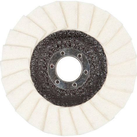 Wolfcraft 8424099 - 1 disco abrasivo a láminas, Ø 115 x 22 mm (1/3)