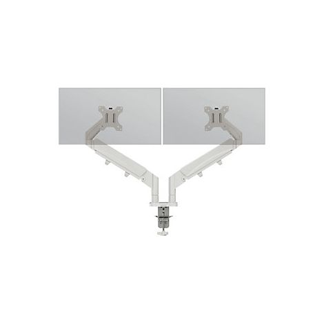 Leitz Ergo Braccio salvaspazio per doppio monitor portata 9 (1/2)
