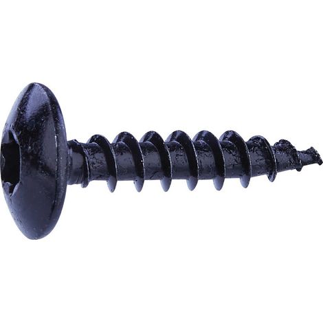 Vis de peinture 6x30mm en acier noir Tx T30 / 10 pièces - Fixpro
