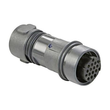 Bulgin PXP6011/03S/CR/0507 Connettori circolari Giunto dritto Tot poli: 2 + PE Serie (connettore circolare): Buccaneer