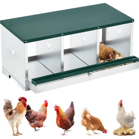 Niche à ponte 3 places en métal galvanisé – Poulailler durable, œufs protégés et nettoyage facile, Simple couche, Vert (1/3)