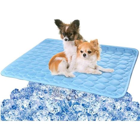 Fauteuil rafraîchissant pour chiens et chats, coussin en soie glacée, couverture rafraîchissante (taille L) (1/4)