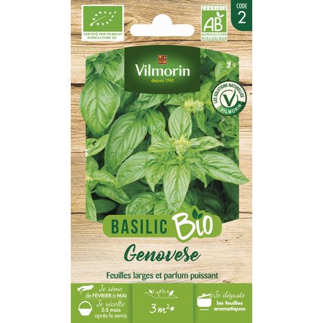 Basilic Genovese - BIO Vilmorin (1/2)