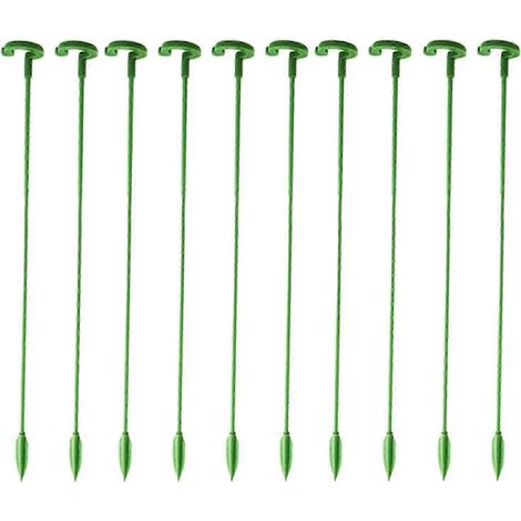 Lot de 10 tuteurs floraux pour plantes, tuteurs anti-torsion, accessoires de jardinage pour fleurs d'extérieur-37cm (1/5)