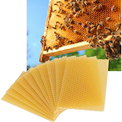 [Bienenstock-Mittelwand] WaxBees 10 Stück - Docht für Imkereibedarf, Möbelpolitur