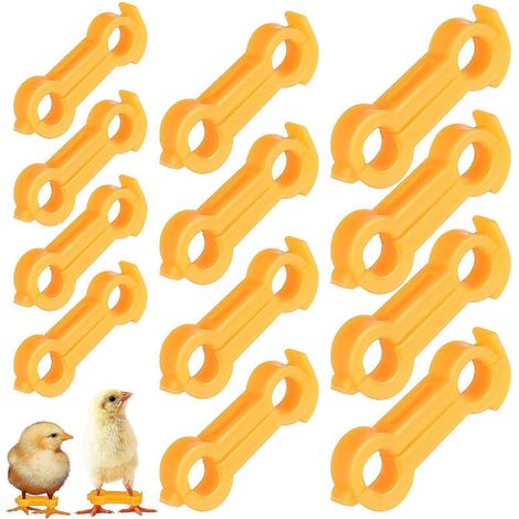 12 stabilisateurs de pattes pour poussins, bande correctrice pour pattes écartées de bébés oiseaux, attelle pour pattes de poulet nouveau-né (1/5)