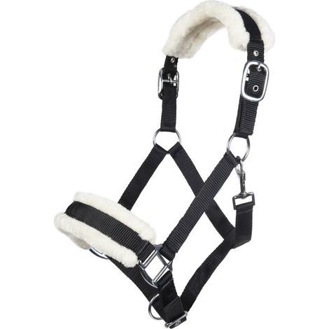 Halfter für schwarze Warmblutpferde mit Plüschpolsterung und verstellbaren Riemen zum Reiten (1/3)