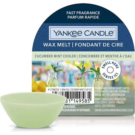 CERA DA FONDERE WAX MELT CUCUMBER MINT COOLER