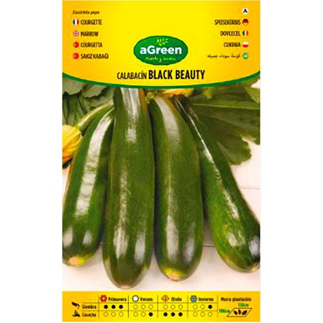 Bustina con semi di zucchina Black Beauty Agreen