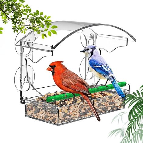 Mangeoire à Oiseaux pour Fenêtres, Grande Window Bird Feeder 25x18x9.5 cm, Mangeoires à Fenêtre Acrylique Transparent Mangeoire Oiseaux Exterieur Fenetre avec 4 Ventouses pour Oiseaux Sauvages (1/5)