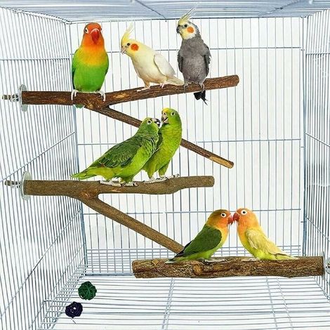 Set di 5 posatoi per uccelli in legno naturale, posatoi in legno naturale, accessori per uccelli, parrocchetti, giocattoli per uccelli, posatoi da arrampicata, gabbia per uccelli (1/3)
