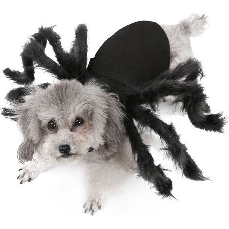 Déguisements d'araignée pour chiens et chats à l'occasion d'Halloween, pour petits chiens et chats. (1/5)