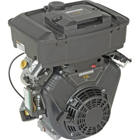Moteur BRIGGS & STRATTON 3054420613F1 (1/5)