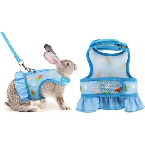 Kaninchengeschirr, auslaufsicher, verstellbar und atmungsaktiv, geeignet für Kleintiere wie Kätzchen, Meerschweinchen und Chinchillas. Weste mit Kordelzug (blau, Größe M).