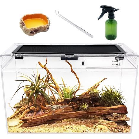 Reptilien-Terrarium, 40 x 20 x 25 cm, 360°-Rundumsicht, belüfteter Deckel, für Geckos, Drachen und andere Echsen (1/5)