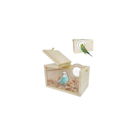 Nichoir pour perruches - Design transparent - Mangeoire à oiseaux en bois naturel - Petit nid d'oiseau - Volière en bois - Pour perruches, perruches, perroquets (1/5)