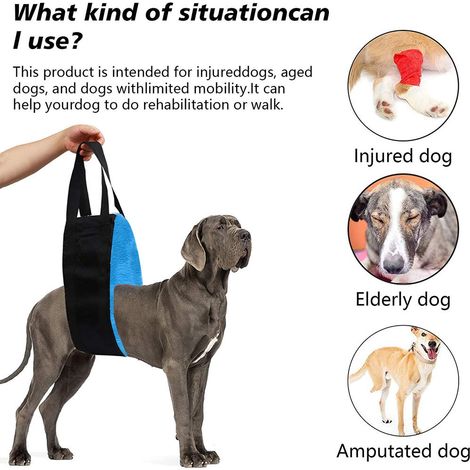 Filiyano-Ceinture d'aide à la promenade pour chien, corde d'aide à la promenade pour chien, ceinture d'aide à la mobilité pour personnes handicapées (1/5)