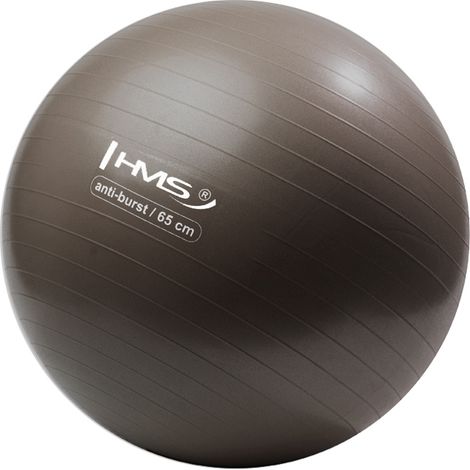 YB02 NUEVO balón de gimnasio Grizzly de 65 cm HMS (1/5)
