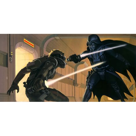Papier peint panoramique moderne Star Wars Classique RMQ Vader vs Luke (1/4)