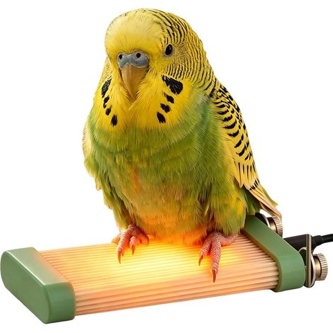 Calentador para pájaros, percha pequeña, con calefacción USB y sistema anti-mordeduras. (1/5)