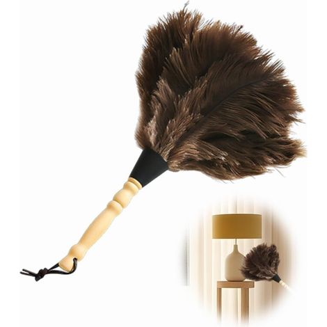 Plumeau Plumes D Autruche - Mango De Madera 32 Cm - Para Hogar Oficina Jardin Coche - 1 Unidad (1/5)
