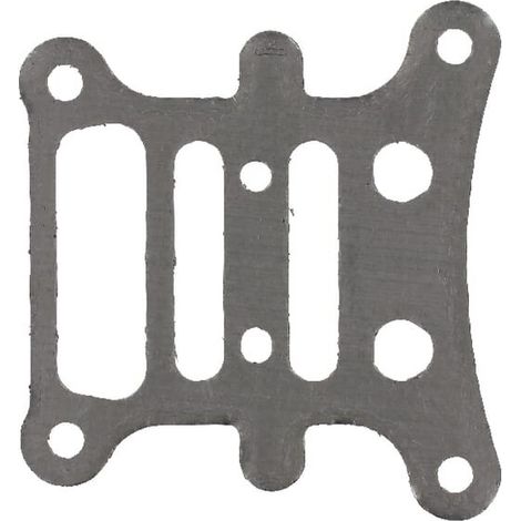 Plaque BRIGGS ET STRATTON 796473
