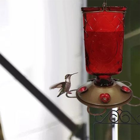 Mangeoire extérieure pour oiseaux de jardin, abreuvoir portatif pour colibris, distributeur de nourriture et abreuvoir (1/5)