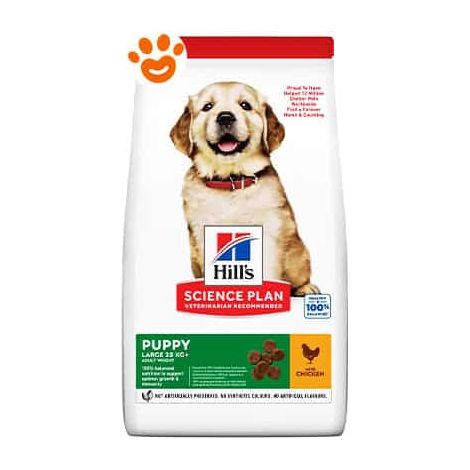 Hills Dog Science Plan Puppy Large Breed Pollo - Sacco 12 Kg -