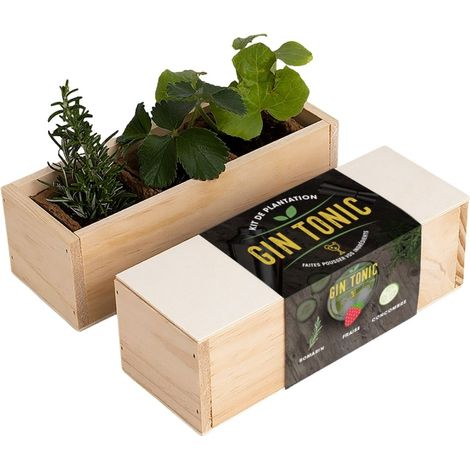 Kit d'Auto-culture Gin Tonic - Romarin, fraise et concombre (1/3)