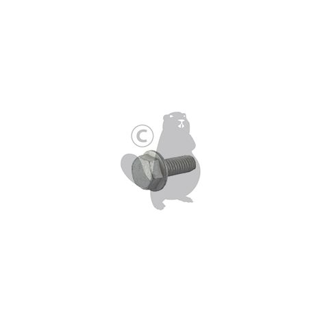 SELF-TAPPING SCREW M6 x 16 STIGA 1127355990
