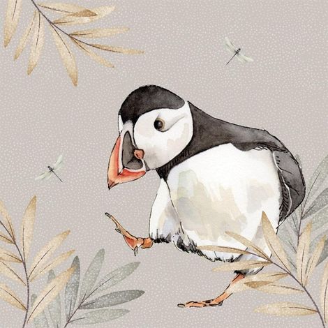 Swarovski-Kartenquadrat CL4702 Puffin
