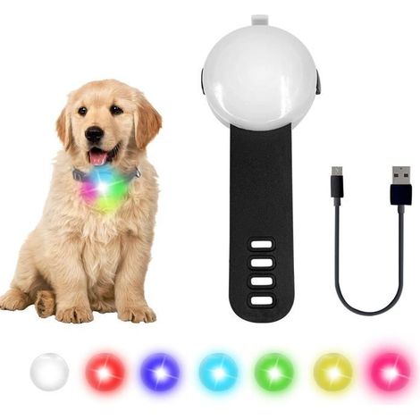 Collier Lumineux Chien LED Pendentif Lampe Chien led Rechargeable étanche 4 modes de changement de couleur réglable, Noir (1/5)