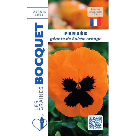 Pensée géante de Suisse orange - 0,3g