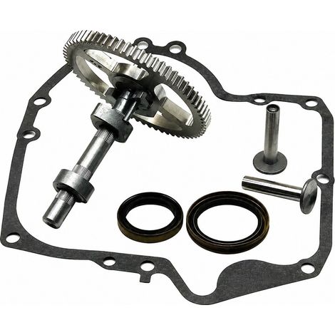 Kit de remplacement d'arbre à cames Briggs & Stratton avec joints, 793880/793583/792681/791942/795102 (1/4)