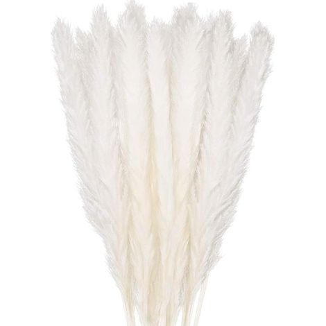 30 pcs Herbe de la Pampa, 45 cm Naturel Pampa Fleur Bouquet de Fleurs Sechees pour Vases, Blanc Boho Decoration Chambre Maison Salon, Mariage Photographier Table Décoration-blanc (1/4)