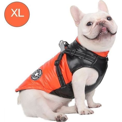 Manteau Chien - LEOCLOTHO - Taille 1.5-10kg - Imperméable - Chihuahua, Yorkshire - Orange XL (1/5)