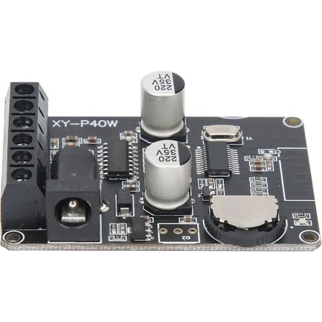 Amplificateur Stéréo Bluetooth 5.0 Haute Puissance 40W, Compatible 5-24V pour Enceintes et Haut-parleurs (1/5)
