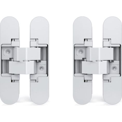 Charnière invisible pour portes lourdes – Lot de 2,charge 40 kg,ouverture 180°,zamak,blanc (1/5)