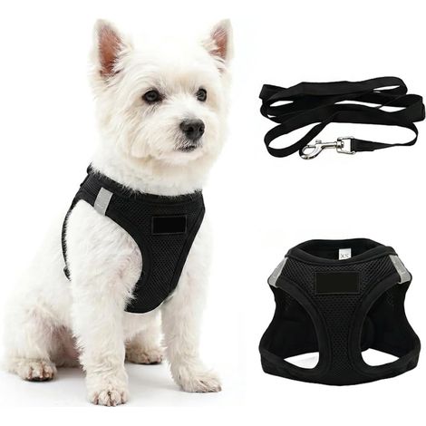 Harnais Petite Chien avec Laisse, Harnais Chiot Anti Traction (1/5)