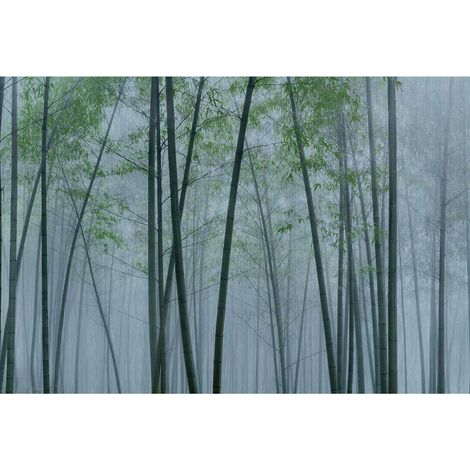 Papier peint panoramique bois couloir Tapisserie panoramique tendance nature brumeuse salon Papier peint panoramique vert & gris foret matin (1/2)