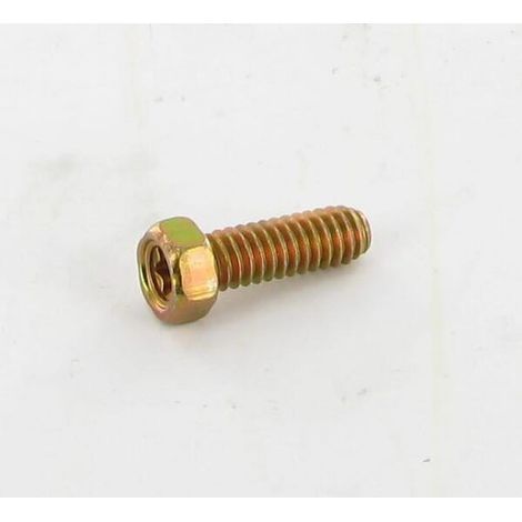 Boulon BRIGGS ET STRATTON 690953